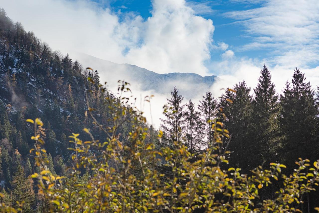 Chalets & Apartments Beim Waicher Ruhpolding Exteriör bild