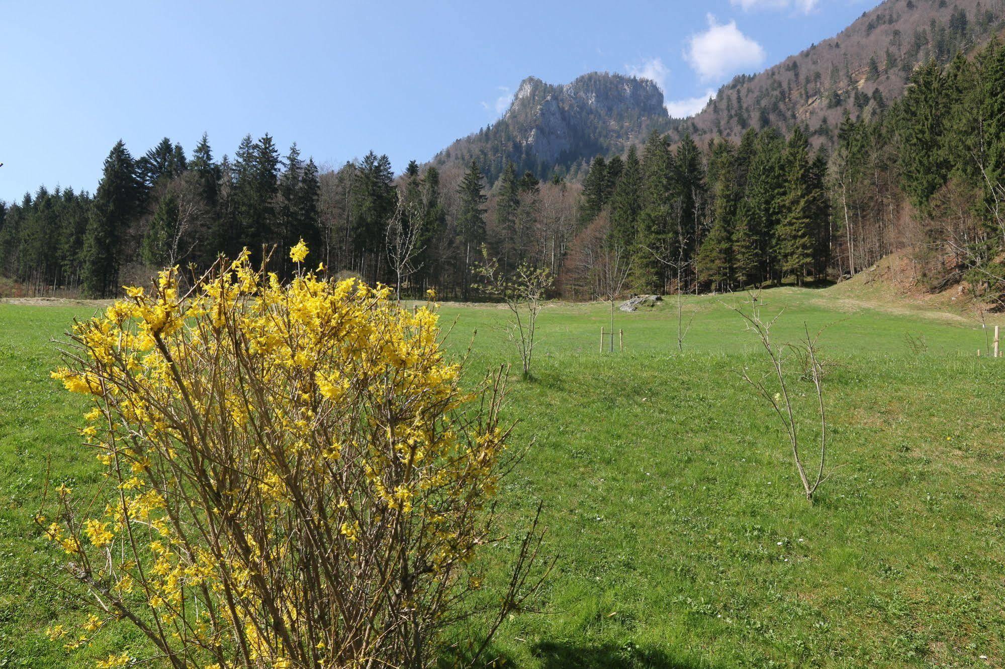 Chalets & Apartments Beim Waicher Ruhpolding Exteriör bild